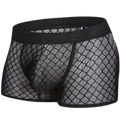 Transparent Mesh Boxers