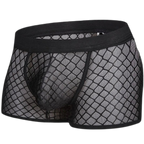 Transparent Mesh Boxers