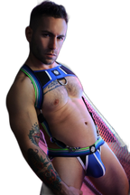 Breedwell Retro Remix Harness Blue