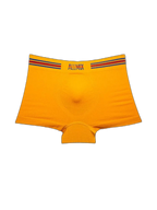 3 Pack Low Waist Boxers Briefs