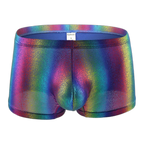 Rainbow Harness-Crop Top + Underwear