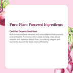 PURE SYNERGY Organic Beet Juice Powder | Pre-Workout Supplement (6.4 oz)