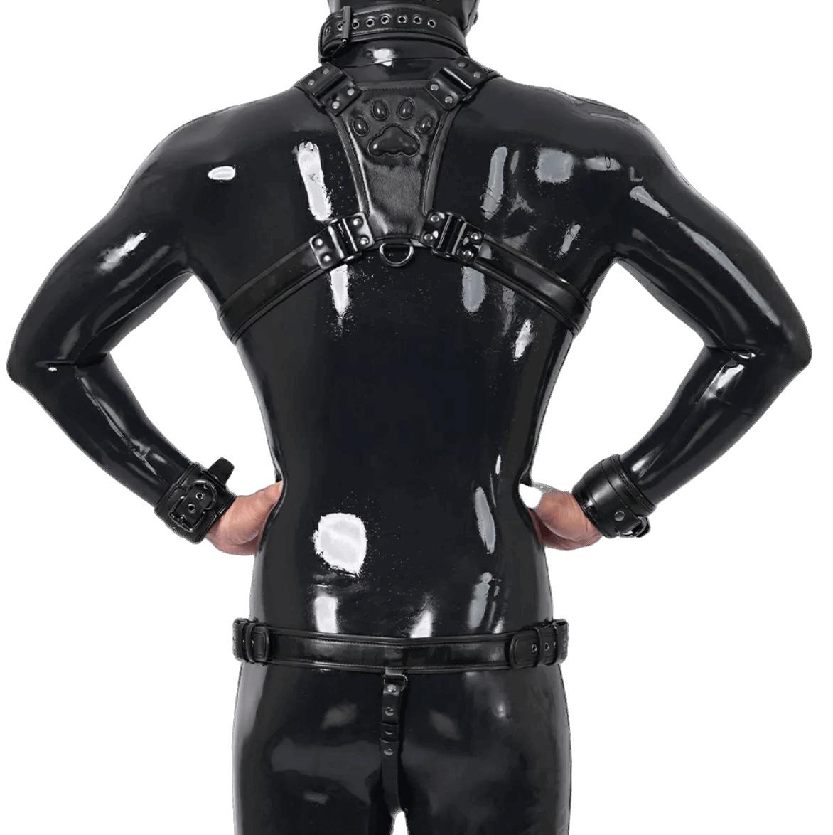 Furrjoi Harness, Cuff, Collar, Lead Underwear Bundle Black