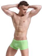Thin Breathable Ice Silk U Convex Boxers for Men
