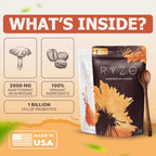 RYZE n Shine Bundle – USDA Organic Mushroom Coffee + Probiotic Creamer | 6 Adaptogenic Mushrooms, MCT Oil, 30+30 Servings