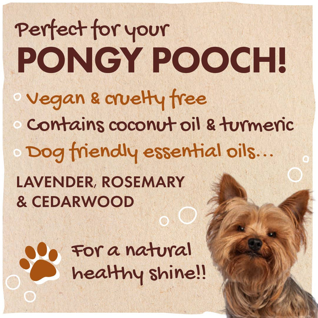 Hunde-Shampoo-Bar – Schädlingsabweisende & Beruhigende Rezeptur