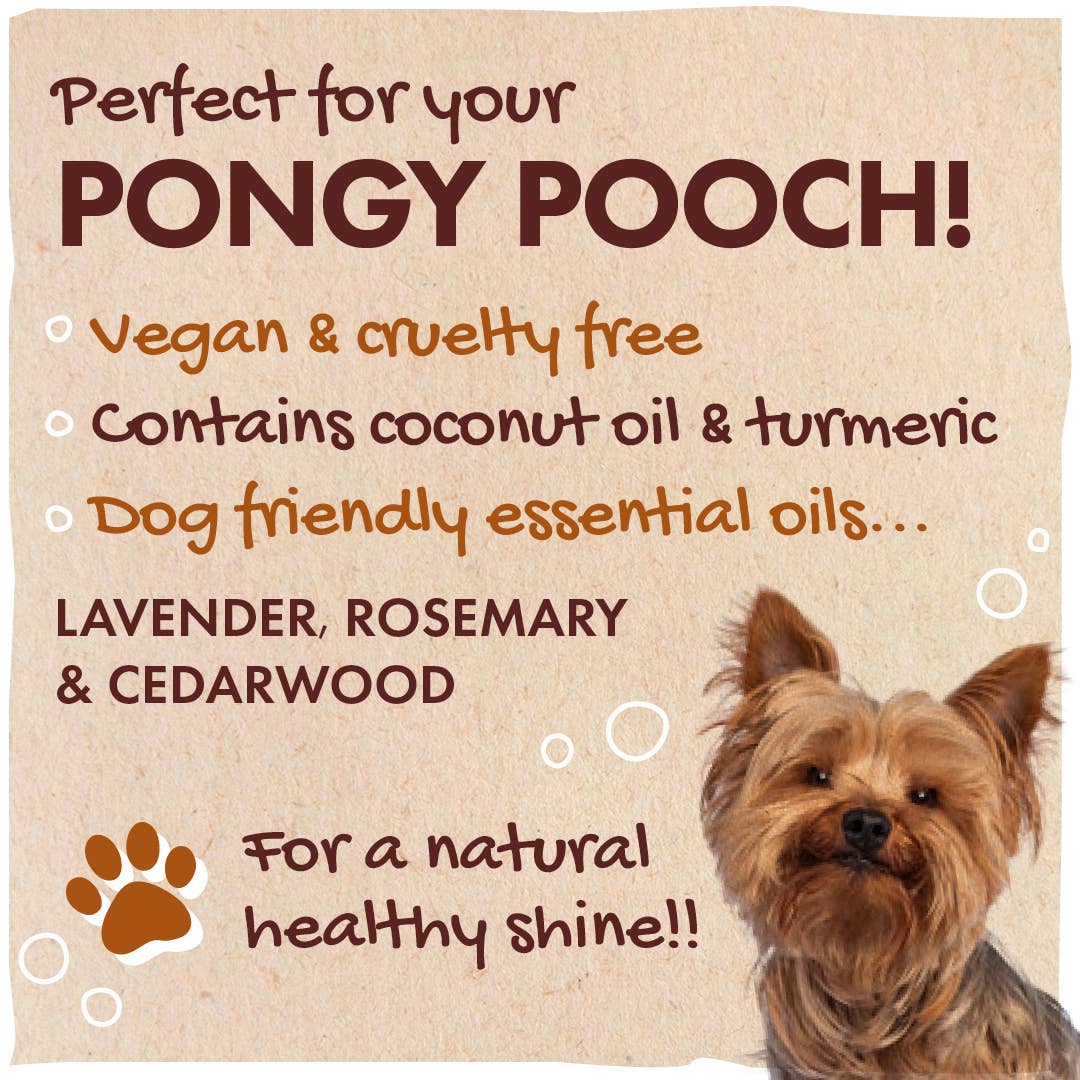 Hunde-Shampoo-Bar – Schädlingsabweisende & Beruhigende Rezeptur