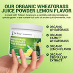 Dr. Berg USDA Organic Green Powder Superfood – Lemon Flavor, 60 Servings