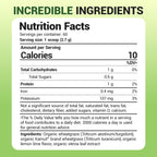 Dr. Berg USDA Organic Green Powder Superfood – Lemon Flavor, 60 Servings