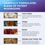 Dr. Emil Nutrition 9000mg Lion's Mane Capsules – Organic Mushroom Blend with Chaga, Reishi & Maitake