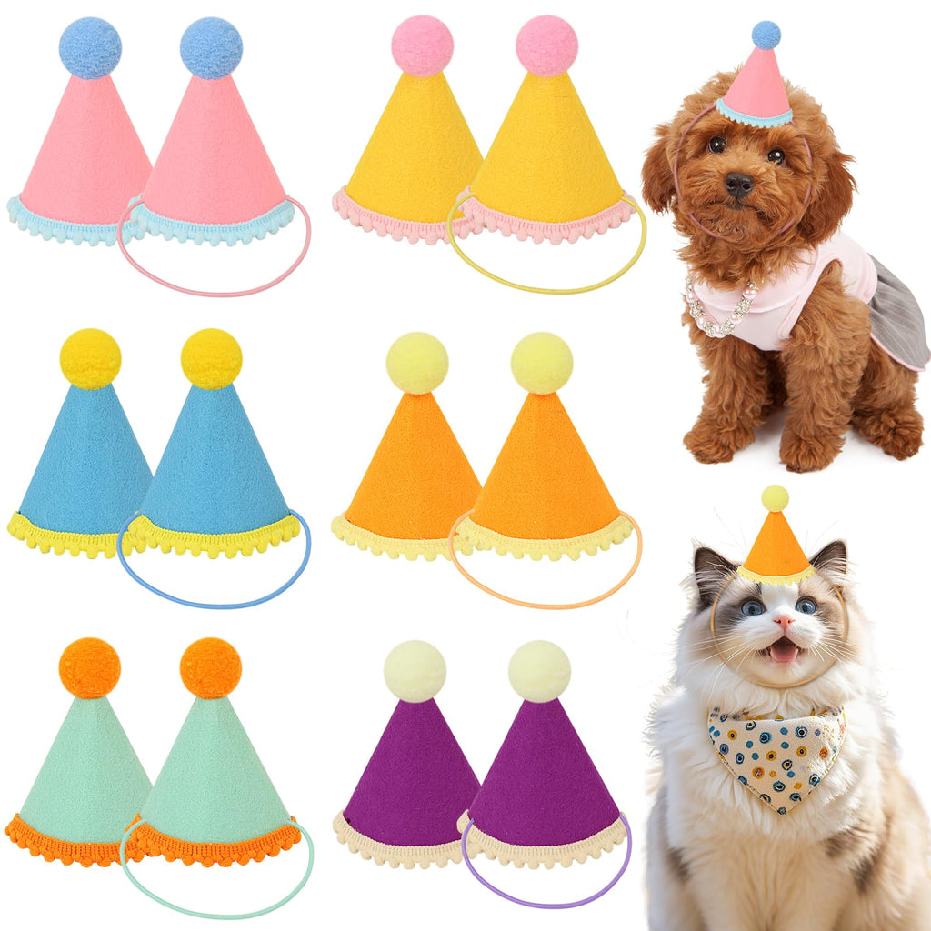 DRANSMIC 12 Pack Mini Party Hats for Stuffed Animals — Rainbow Felt Cone Hats for Dolls and Pets