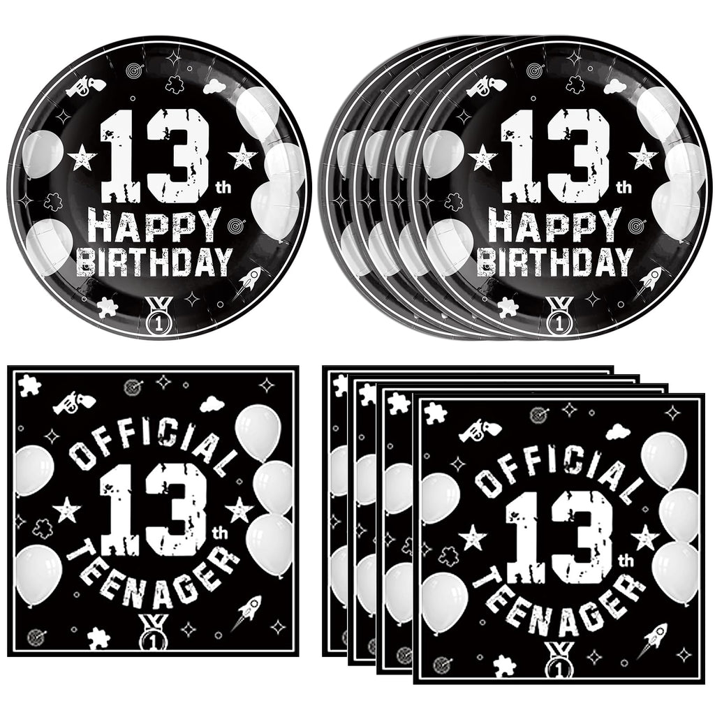 DURYGEN 13th Birthday Party Supplies – Black & Silver Disposable Plates & Napkins for Teens