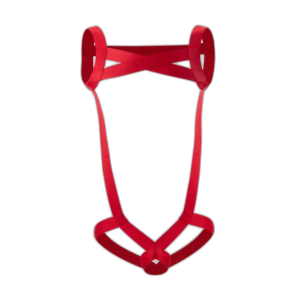 Sexy Men's Full Body Harness