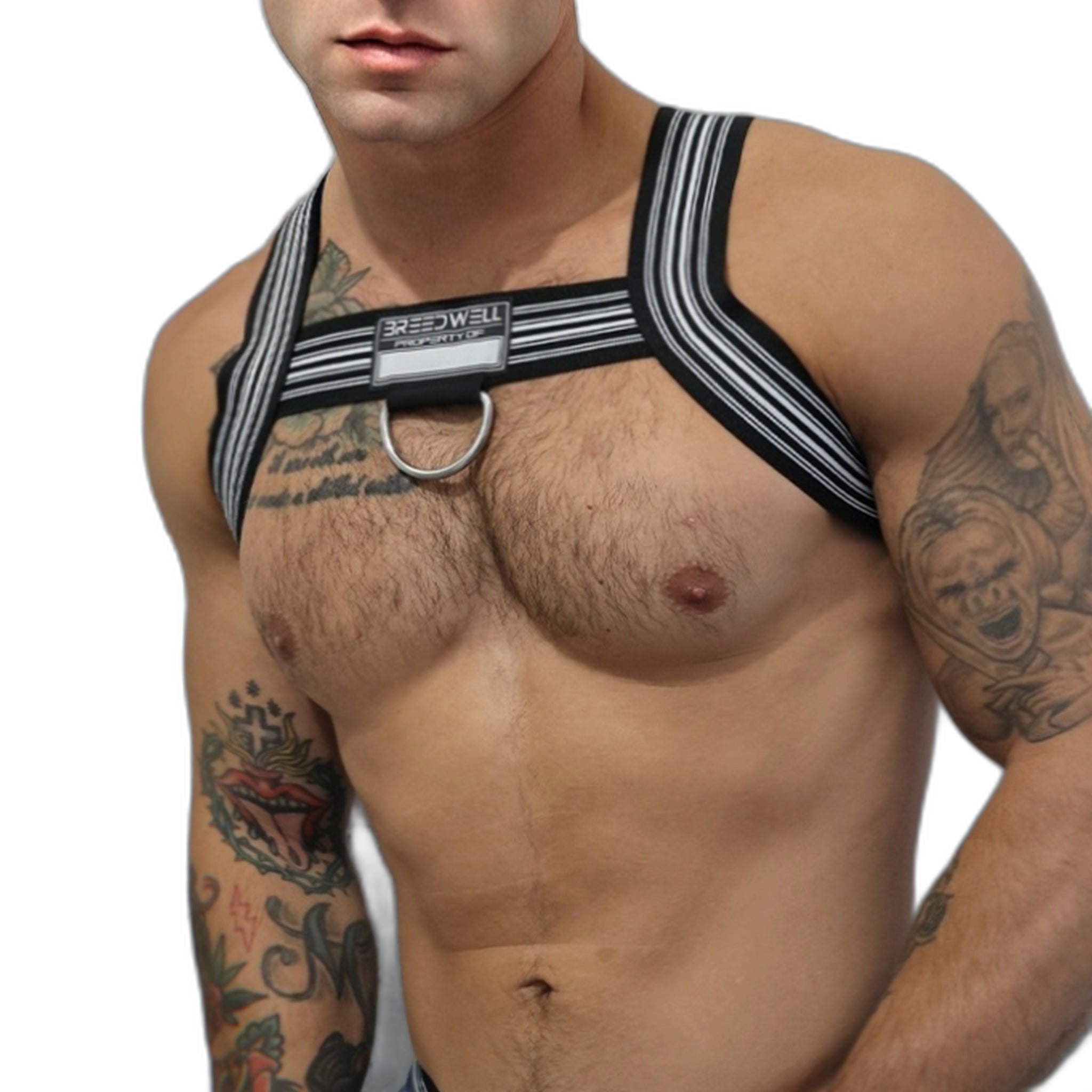 Breedwell Cumdump Bulldog Harness Black