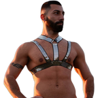 Silver Slave Daddy Harness