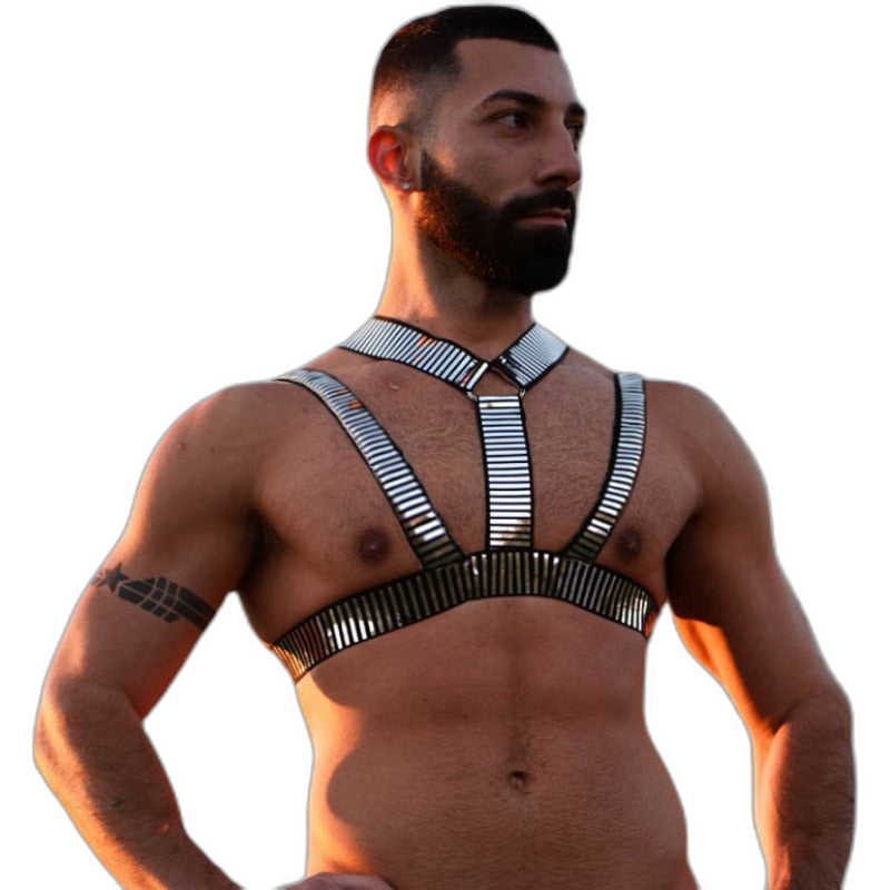 Silver Slave Daddy Harness
