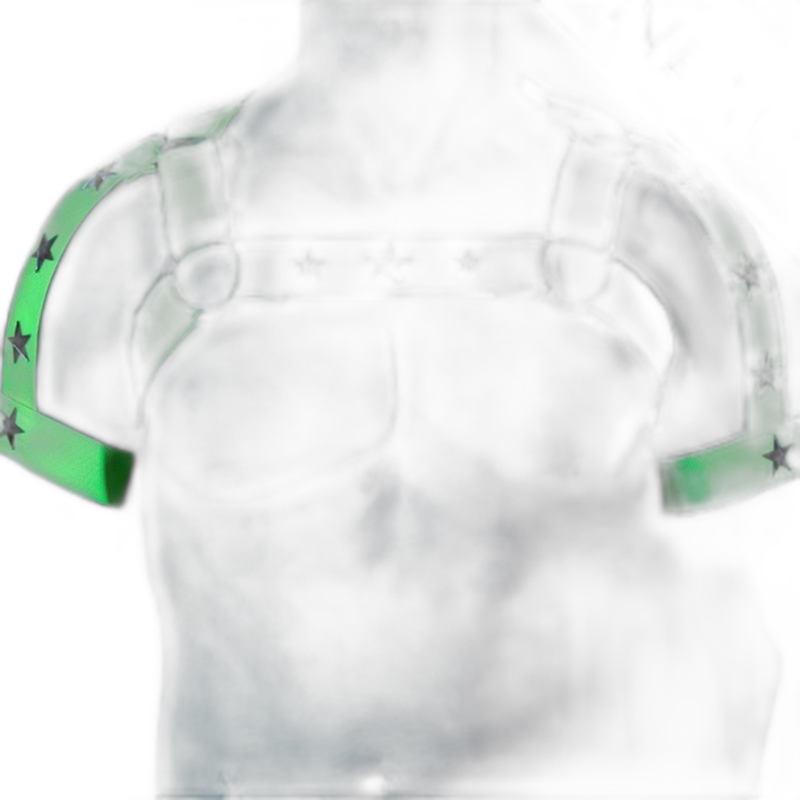 Fluorescent Glow In The Dark Elastic Harness