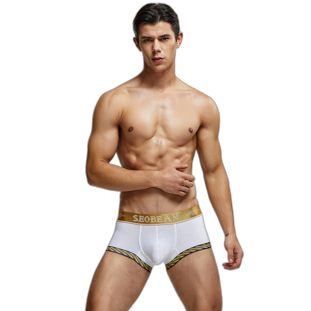 Seobean Golden Boxers