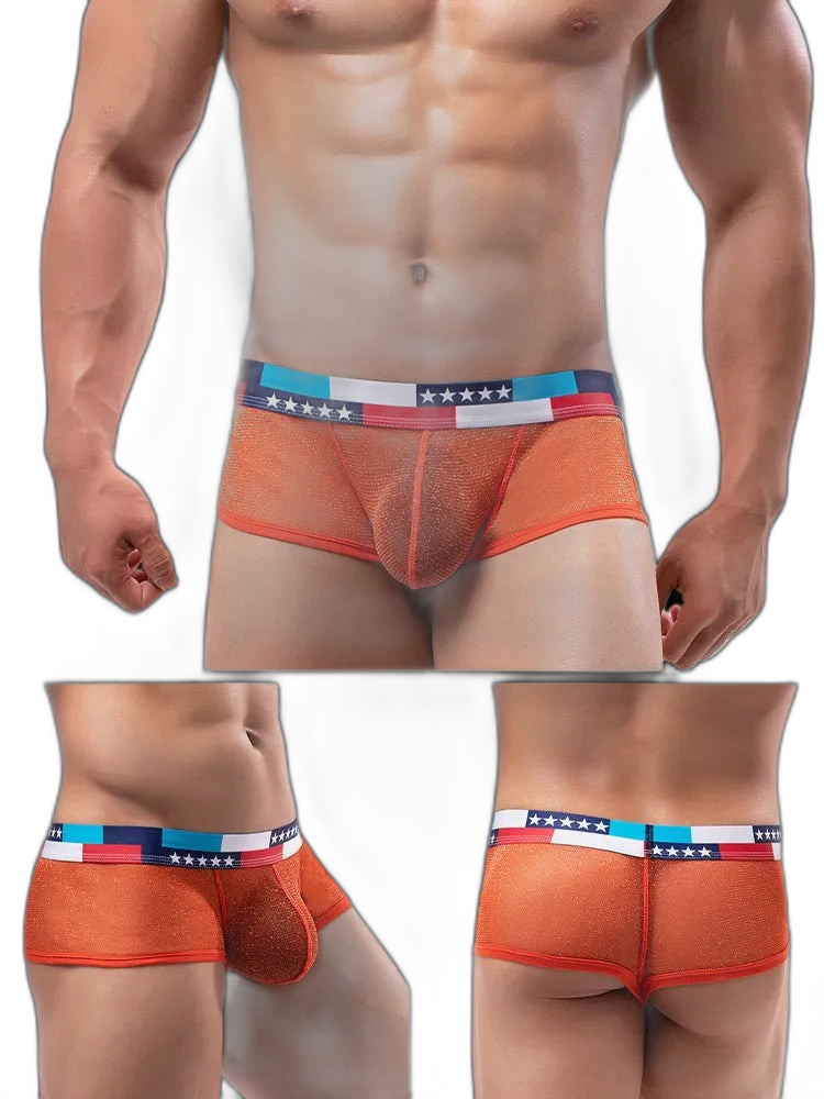 4-pack Low-rise Micro-mesh Boxer Briefs