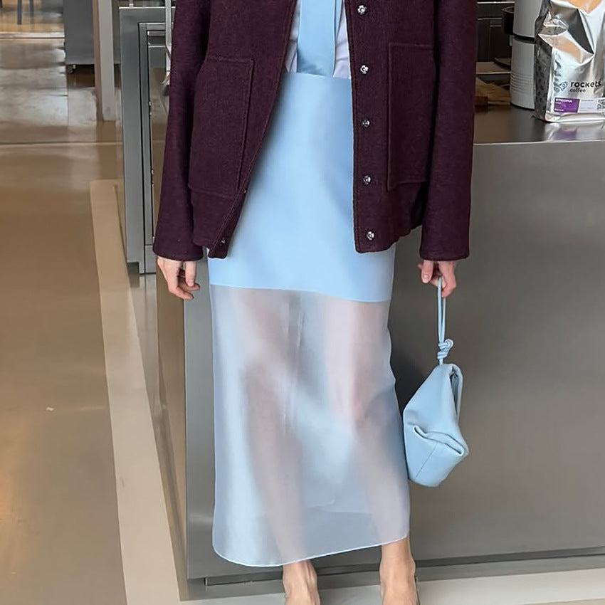 Designer-style Sheer High-waist Skirt For Women