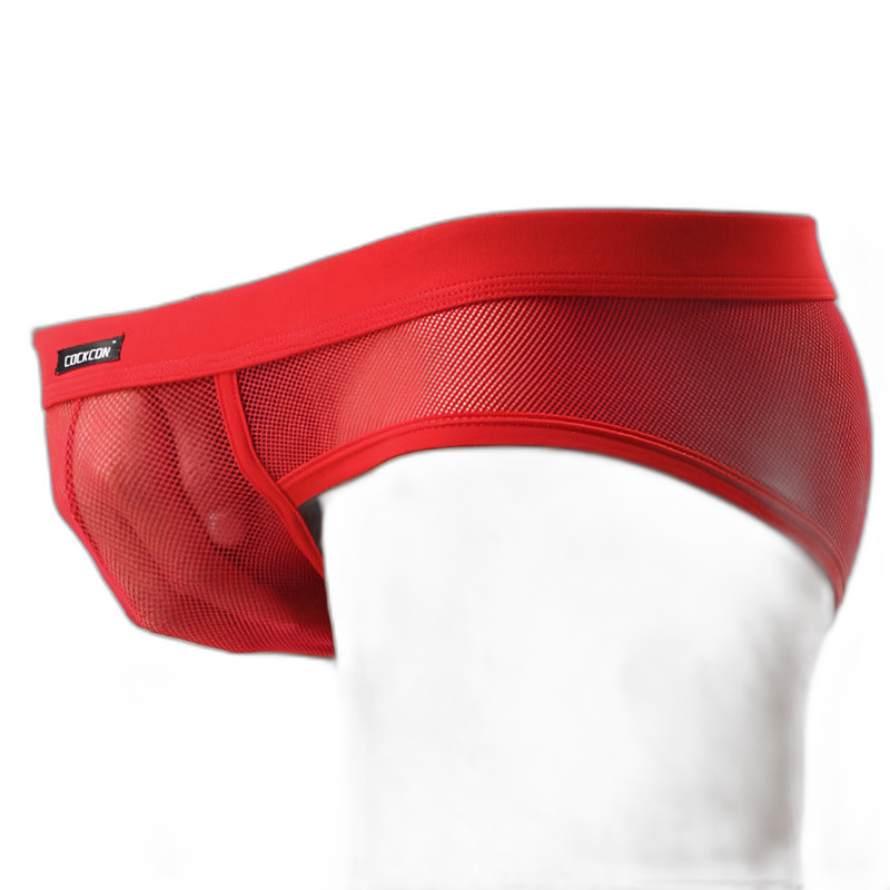 Mesh Silk Briefs