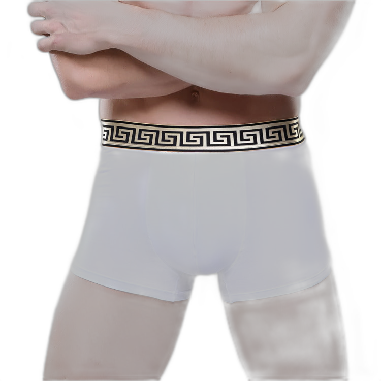 Olympus Boxer Briefs