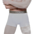 Olympus Boxer Briefs