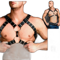 Y-Studded Leather Harness
