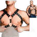 Y-Studded Leather Harness