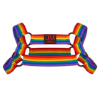 Jockmail Pride Warrior Rainbow Harness Set