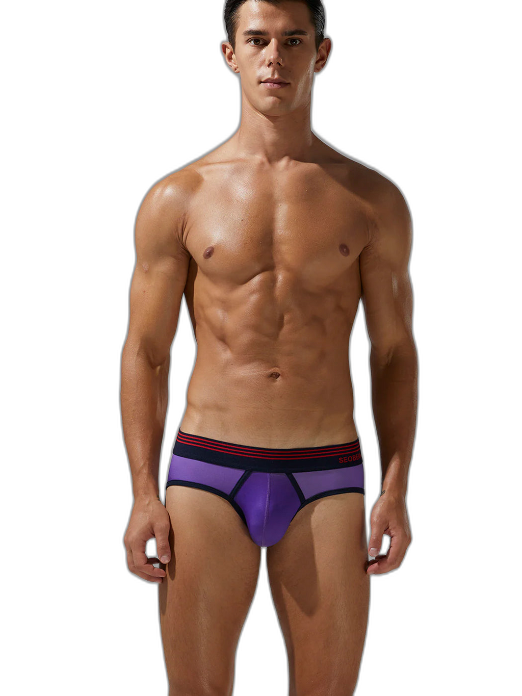 Men’s Spliced Lines Briefs in Ombre