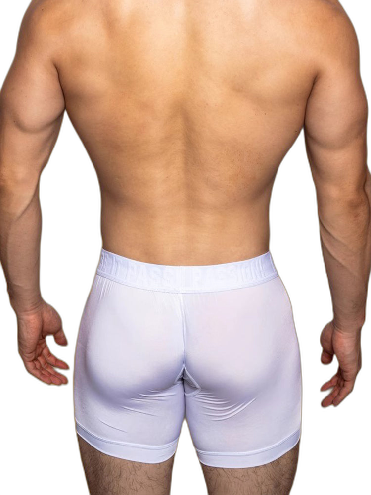 2 Pack Men's Trendy Breathable Ice Silk Boxer Briefs