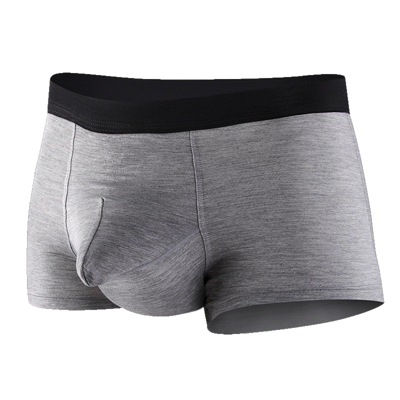 Men's Modal Elephant Separate Pouch Boxer Briefs