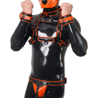 Furrjoi Harness, Cuff, Collar, Lead Underwear Bundle Orange