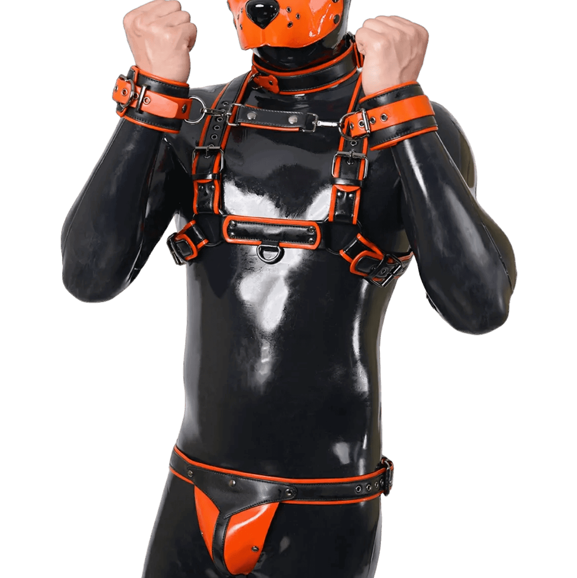 Furrjoi Harness, Cuff, Collar, Lead Underwear Bundle Orange