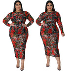 Round-neck Stretchy See-through Sheath Dress With A Printed Design