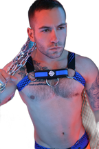 Breedwell Revolution Bulldog Harness Blue