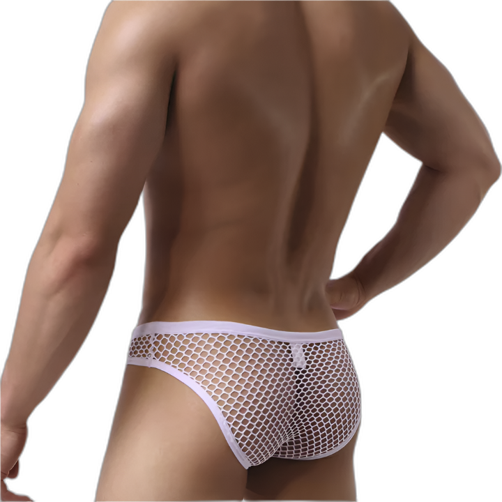 Mesh Fishnet Briefs