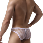 Mesh Fishnet Briefs