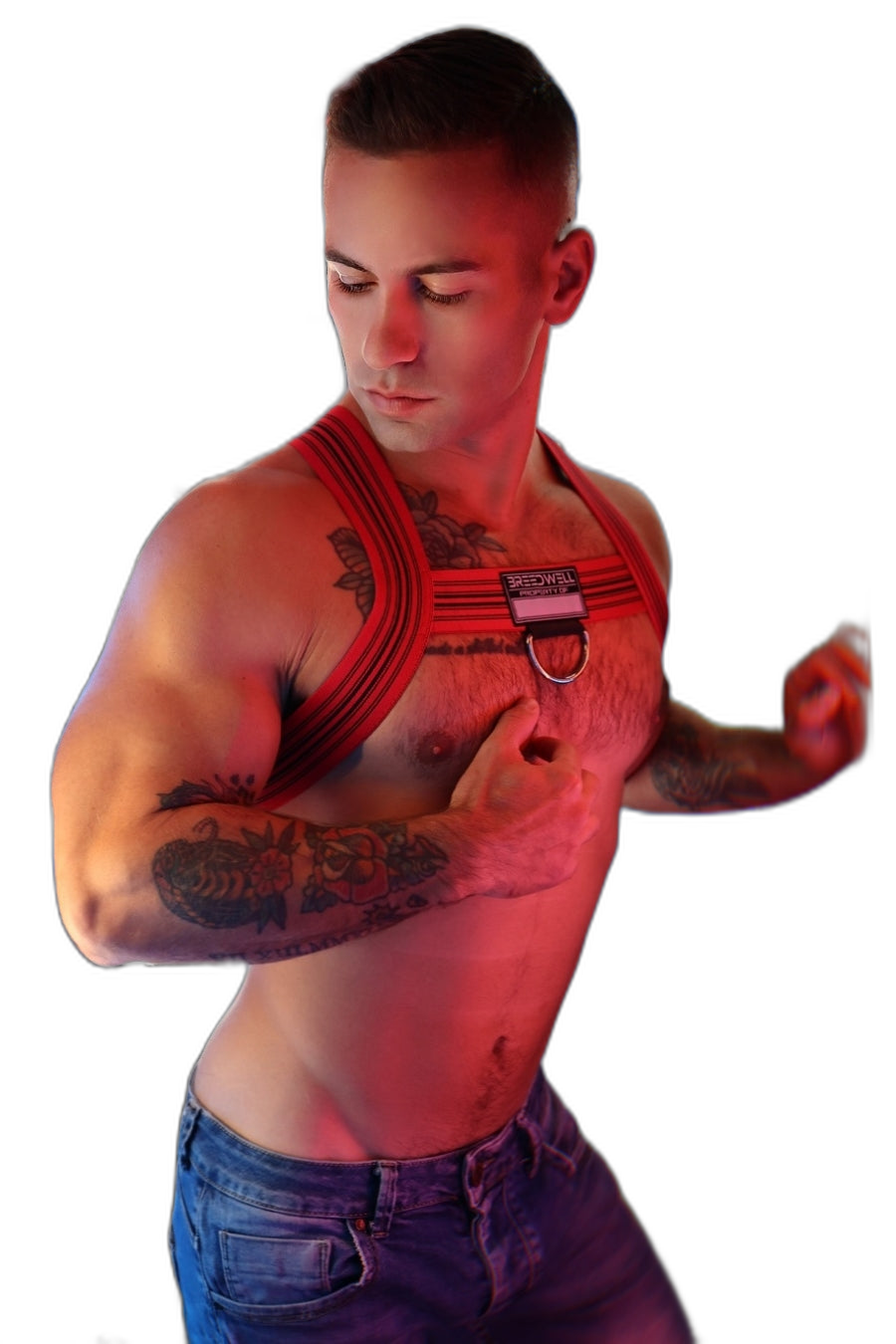 Breedwell Cumdump Bulldog Harness Red