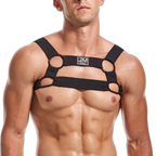 Elastic Harness