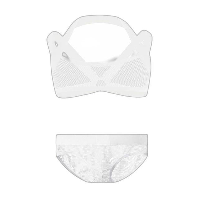 Erotic Mesh Harness + Underwear Outfit