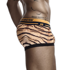 Seobean Tiger Boxers