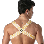 Leader Invictus Harness | White Gold
