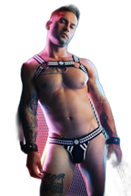 Breedwell Daddys Favourite Bulldog Harness Black