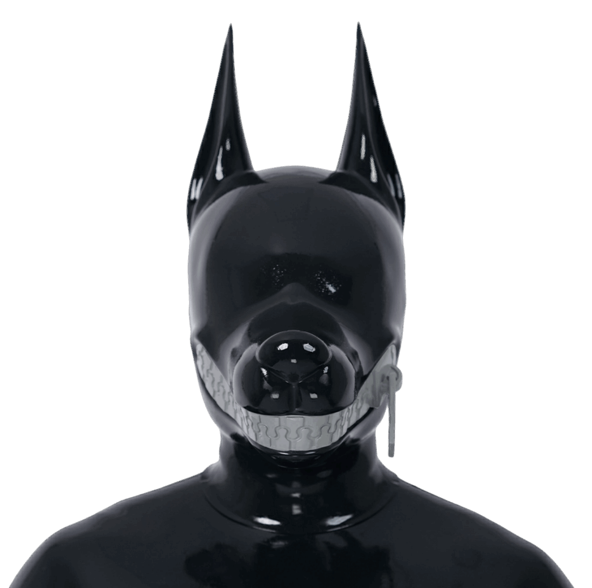 Furrjoi Zipper Dog Hood