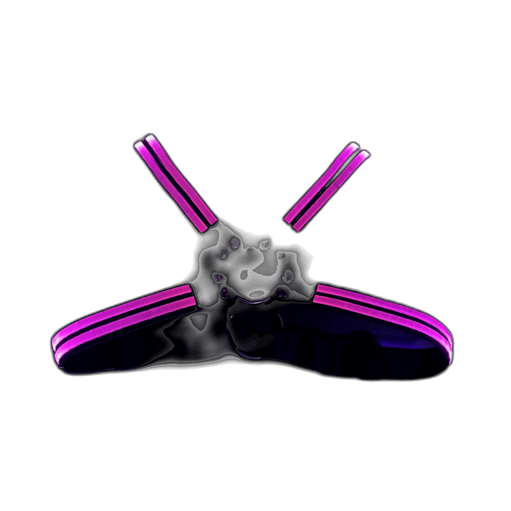 Glow X-Chest Harness (LED)