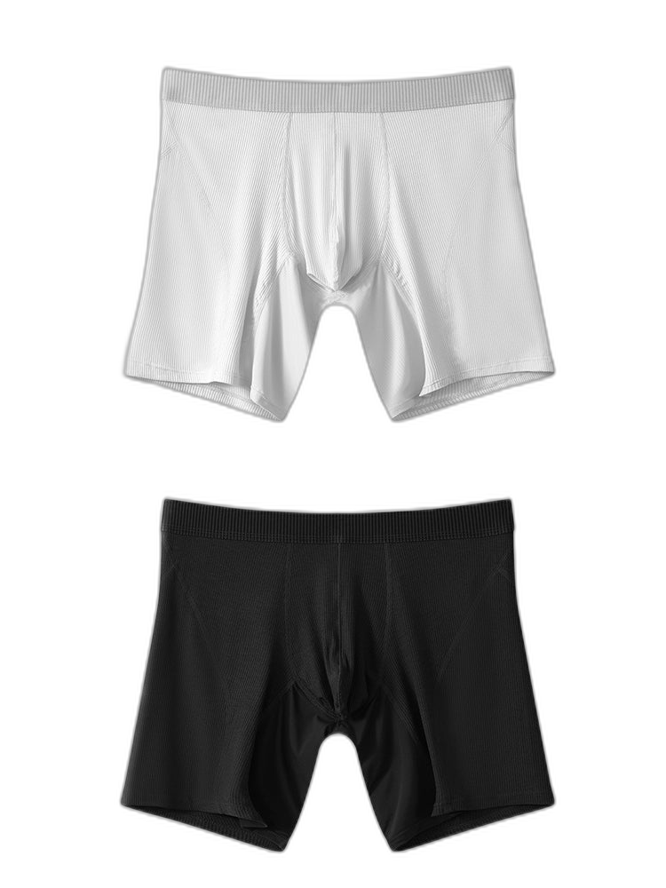 2 Pack Men’s Casual Ice Silk Midway Briefs