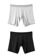 2 Pack Men’s Casual Ice Silk Midway Briefs