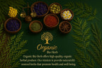 Bio-Kräuter getrocknete Echinacea-Wurzel – Premium Echinacea Purpurea